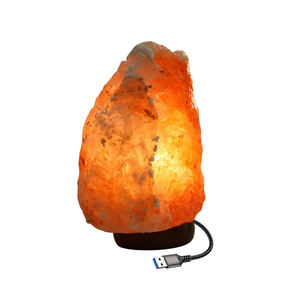 Sel de l'Himalaya sculpté à la main lampes Usb Base en bois décoration de chambre lampes à sel Base en bois naturel lampe de décoration de chambre - Product Image 1