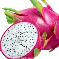 Fournisseur du meilleur fruit du dragon blanc frais doux petite peau origine naturelle quoi. app84972678053