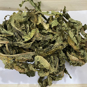 Feuilles de papaye séchées du Vietnam en gros, Carica Papaya, approvisionnement direct en usine, en vrac, pour l'emballage de sachets de thé et la marque OEM - Product Image 1