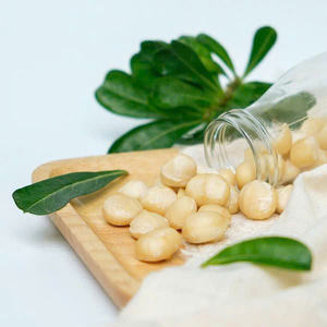 Noyaux de macadamia grillés et salés sans coquille, croquant de qualité supérieure en provenance du Vietnam - Product Image 1