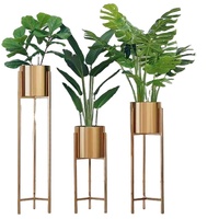 Pots et jardinières élégants et polyvalents pour les maisons et les jardins modernes avec des matériaux robustes et des designs élégants pour l'intérieur