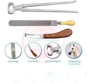 Kit d'outils de garniture de sabot de maréchal-ferrant professionnel vétérinaire en acier inoxydable, 8 pièces - Product Image 3