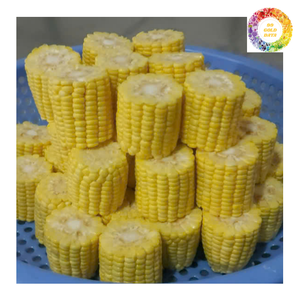 Maïs congelé IQF grains de maïs jaune doux épi congelé légumes mélangés surgelés prix d'usine pour usage agricole en gros - Product Image 2