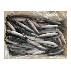 ปลาแมคเคอเรลแปซิฟิกแช่แข็งแสนอร่อย ขนาด 300-500 กรัม ลดราคาพิเศษ - Product Image 3