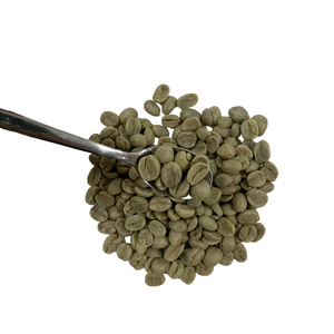 เมล็ดกาแฟเขียวอาราบิก้า S18ออร์แกนิคจากเวียดนามล้าง100% 95% S18ทำความสะอาดขนาด18>= 90% - Product Image 4