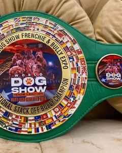 เข็มขัดแชมป์แบบกำหนดเอง (ทองแดง/โลหะผสมทองแดง)-ถ้วยรางวัล เหรียญรางวัล และรางวัลต่างๆ สัญลักษณ์สูงสุดแห่งชัยชนะและความเป็นเลิศ - Product Image 2