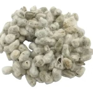 Graines de coton en vrac, - Product Image 5