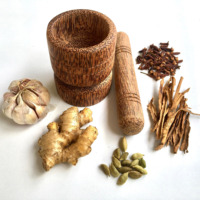 Petit ensemble mortier et pilon en bois de noix de coco pour cuisine outils de broyeur d'herbes à épices en bois de coco palmier