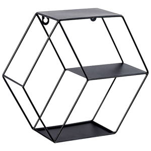 Accessoires muraux modernes en métal pour plantes, décorations murales de salon et artisanat naturel - Product Image 1