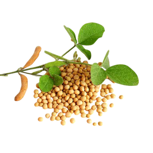 Enzyme Nattokinase Matière première Poudre de qualité industrielle pour le traitement industriel B2B et l'approvisionnement commercial - Product Image 6