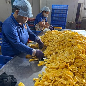 ขนุนแห้งแช่แข็ง - Product Image 5