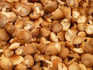Champignon séché-Champignon Shiiitake séché VIETNAM Fournisseur-Bon prix Produit de haute qualité de 2023/ DC - Product Image 3