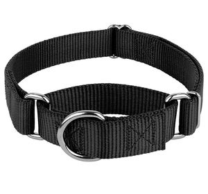 Collier pour chien en nylon et cuir pastel réglable de qualité supérieure, écologique, avec boucle en métal pour grands chiens - Tailles personnalisables - Product Image 1