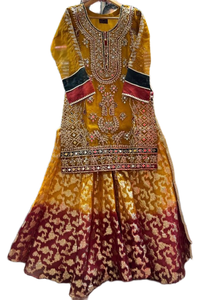 Gota patti salwar kameez ที่มีการปักหลากสีสำหรับงานปาร์ตี้ - Product Image 2