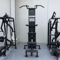 Máquina Comercial de Asistencia para Dominadas de Pie, Equipo de Entrenamiento de Fuerza para Gimnasio