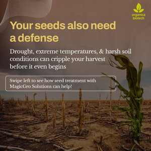 Protection des semences dans le soja - Product Image 2