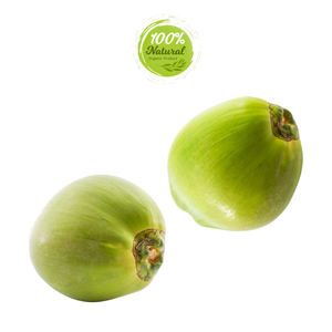 มะพร้าวสดเวียดนาม - รสหวานเข้มข้นแบบทรอปิคอล - Product Image 6