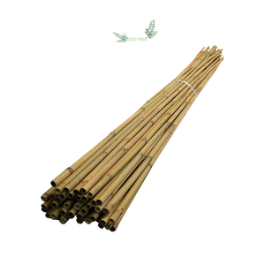 ¡Vendedor caliente! ¡Tendencia caliente! Palo de bambú para planta/fuerte resistente profesional soporte de planta de bambú bastones de bambú/estacas/poste - Product Image 1