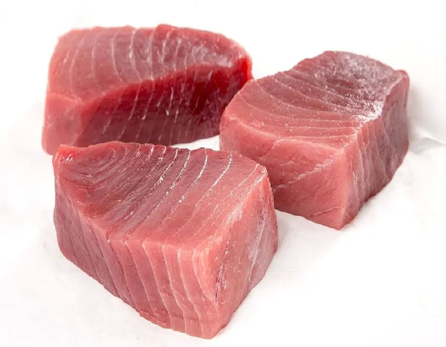 wholesale Frozen Loin Yellow Fin Tuna Fish at Reasonable Price