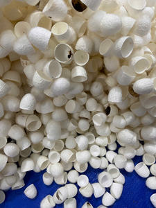 Coton de cocon de soie naturelle pour les textiles haut de gamme - Product Image 6