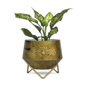 Soporte de planta de Metal recubierto de oro Última llegada Macetas de aspecto Premium Maceta elegante para el uso de la decoración del hotel del hogar - Product Image 6