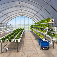 Système de culture hydroponique en gouttière pour la culture de fraises en PVC pour l'agriculture, la ferme et la serre