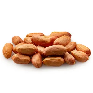 Amendoim descascado natural orgânico de primeira qualidade por atacado Amendoim cru a granel para classificar amendoim, nozes e grãos