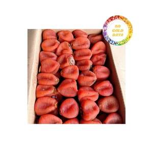 ลูกพลับอบแห้งส่งออกที่มีความหวานจากผลไม้ธรรมชาติเนื้อนุ่มและสีที่น่าสนใจเหมาะสำหรับบรรจุภัณฑ์ขนมขบเคี้ยวหรือของขวัญ - Product Image 5