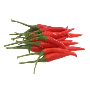 TOP WHOLESALE FROZEN RED CHILI VIET NAM/ PREMIUM QUALITY AND COMPETITIVE PRICE for Korea Market