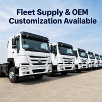 Camion tracteur diesel HOWO 6X4 de haute qualité, 450 CV, transmission manuelle à gauche, normes Euro 2 et Euro 3, camions tracteurs 6x4 d'occasion