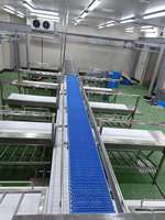 Ligne de transformation personnalisable pour abattoirs commerciaux : moutons, bovins, porcs, porcins, vaches, poissons, fruits de mer