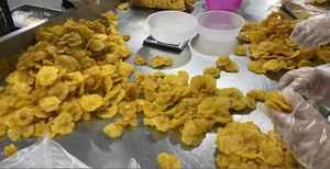Comida instantánea Piña seca Fruta Piña seca Rodajas Akina - Product Image 6