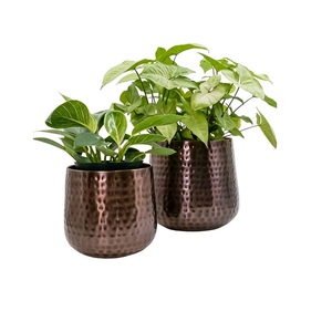 hot sale Modern hotel succulent plant <b>pots</b> indoor powder coated <b>large</b> metal planter in flower <b>pots</b> & planters flower <b>pots</b> - Product Image 4