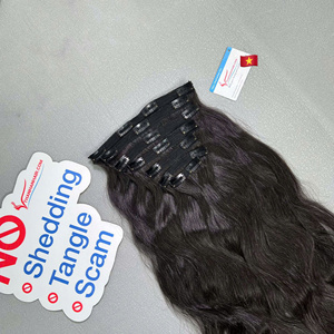 Produit phare 2026 : Extensions à clips naturelles ondulées vietnamiennes brutes - Double trame, pointes épaisses - Lot de 5 à 7 pièces - Product Image 3