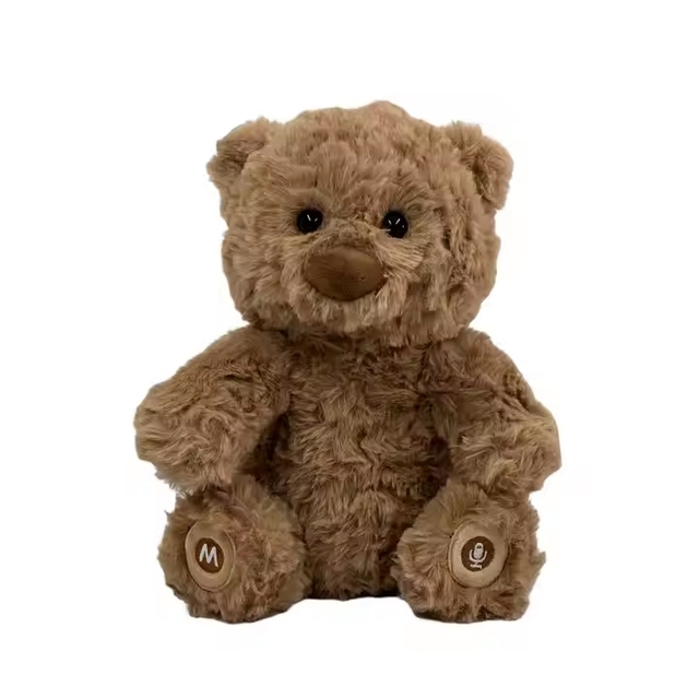 Custom Talking Teddy Bear AI Interactive Plush Bear Toy for Martial Arts PP Cotton Filled Stuffed Toy with Decorative Box