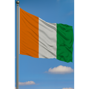 Ireland Custom 3x5ft Outdoor <b>Flag</b> Pennant Style Silk with Aluminum <b>Pole</b> Digital Printing Custom Logo Display - Product Image 3