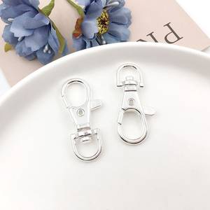 Gancho de cierre de langosta para llavero de Metal con función de cambio de Color para suministros de joyería - Product Image 3