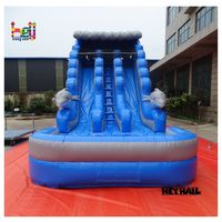 Vente flash : toboggan aquatique gonflable à double voie en PVC pour un usage récréatif