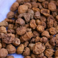 Premium gedroogde tijgernoten - 100% puur natuurlijk gezond fruit-snack, klaar om te eten, bulk verpakt in vacuümzakken