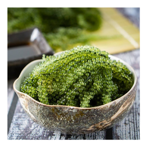 Uva de mar seca de Vietnam, producción a granel por el socio de fabricación 99D, que ofrece tamaño uniforme y capacidad de suministro confiable - Product Image 5