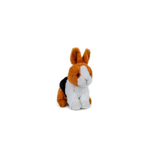 ECO Edizione Coniglio, piccolo - Product Image 1