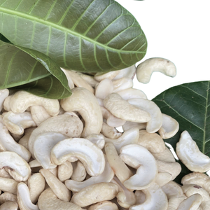 เม็ดมะม่วงหิมพานต์ดิบจากเวียดนามฟรีภาษี - Product Image 1