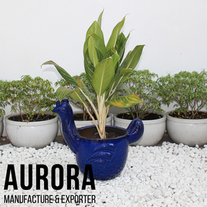 Macetas y macetas de cerámica de primera calidad, uso de espacio verde con soporte de logotipo personalizado - Product Image 3