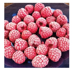 Emballage en vrac de framboises congelées biologiques IQF d'origine américaine - Product Image 1