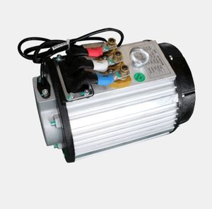 Moteur de voiturette de <span class=keywords><strong>golf</strong></span> HDK 48 volts <span class=keywords><strong>6</strong></span>,3 kW Moteur AC avec frein pour buggy de <span class=keywords><strong>golf</strong></span> Evolution 2/4/<span class=keywords><strong>6</strong></span> places Pièces détachées HDK - Product Image 3
