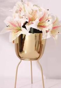 Jarrón con marco de hierro dorado en metal moderno, perfecto para una elegante decoración del hogar y elegantes exhibiciones florales - Product Image 4