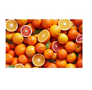 Naranjas Cítricas Frescas Orgánicas de Primera Calidad de Austria, 25 cm, 10 kg - Jugosas y Empacadas para Mercados de Exportación y Venta al por Menor - Product Image 2
