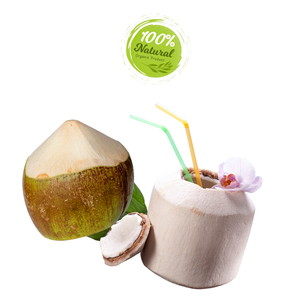 สัญลักษณ์ของมะพร้าวปอกเปลือกเพชรในการเฉลิมฉลองเวียดนาม - Product Image 5