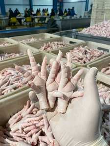 Patas de pollo halal congeladas al por mayor (IQF) para preservar la frescura y la tiernura. Disponible para la Venta - Product Image 4