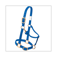 Fabricant professionnel de produits équestres, licol d'entraînement avec longe pour l'équitation, licols équestres, longes
